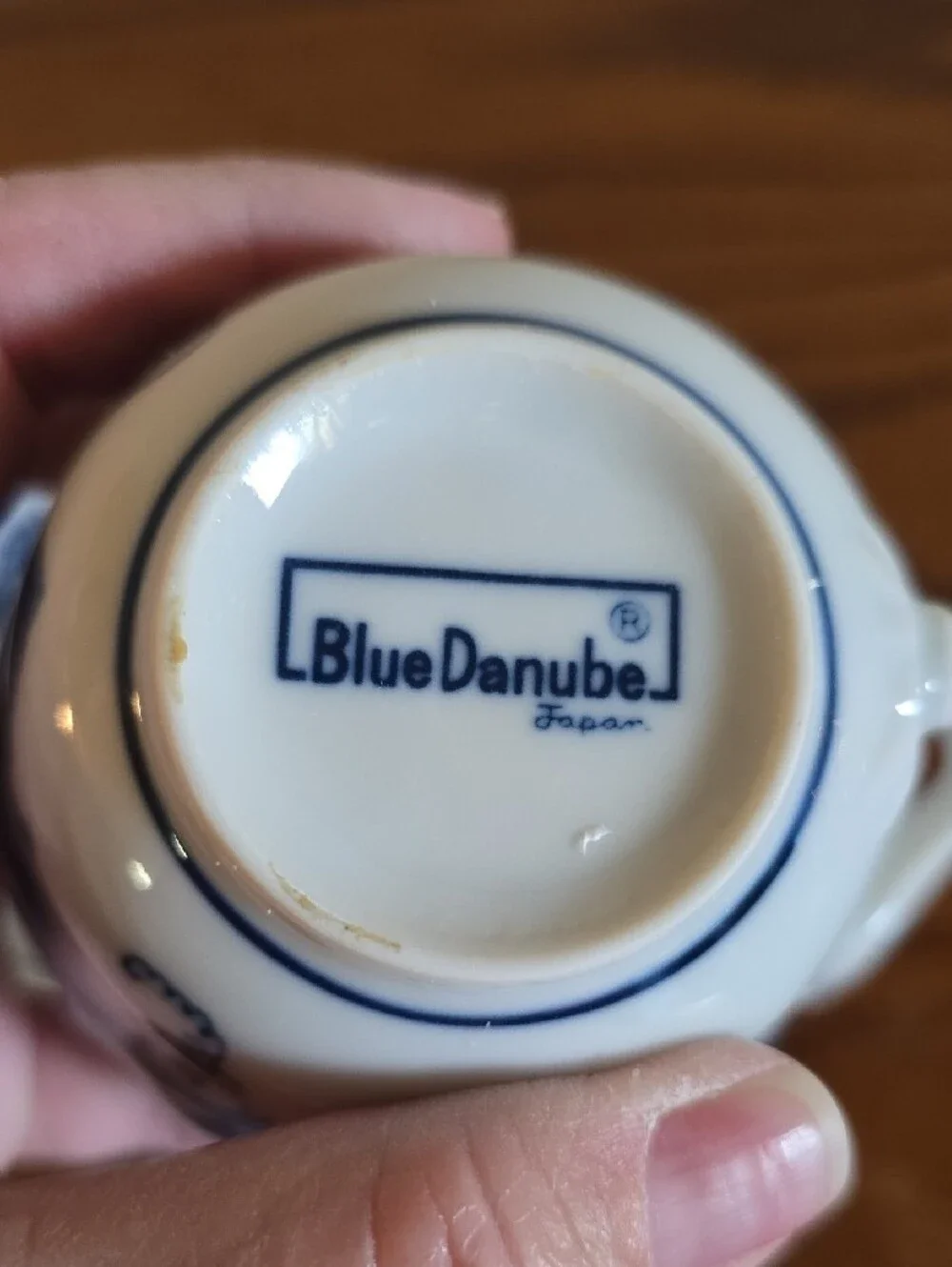 Vintage Blue Danube Tea Cup and Saucer Tote 15